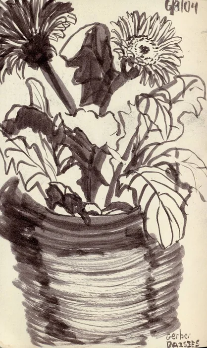 A loose ink drawing of flowering plants in a striped pot.