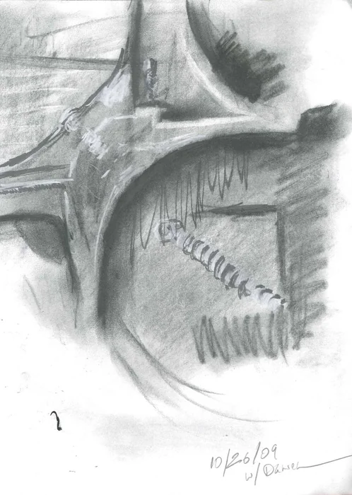 Soft graphite studies explore branching shapes, light, and shadow.