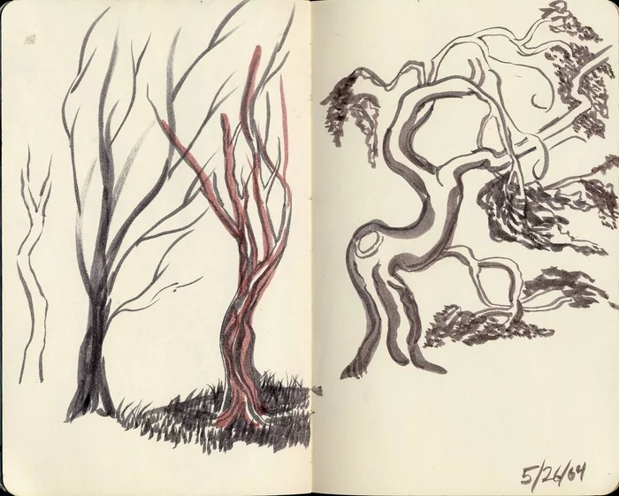 Two sketchbook pages exploring bare trunks and branching tree shapes.
